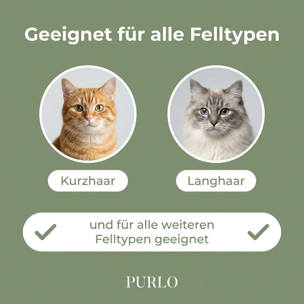 Fellglanz™ - Sanfte Fellpflege, neu gedacht